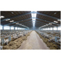 Steel Structural Building Fabrication Poultry Farm Shed for Pig/Cow/Goat in China